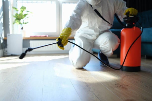 Reliable Biohazard Cleanup contractor in Woodstock, VA by Trauma Clean Pros